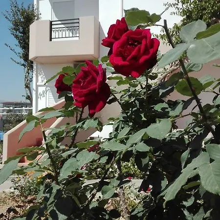Apartment Yannis *