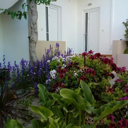 Apartment Yannis Amoudara Lasithiou
