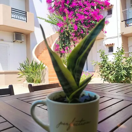 Yannis Apartmán *