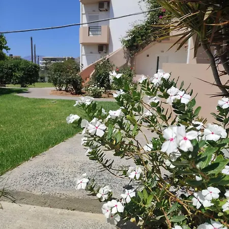 Yannis * Amoudara (Heraklion)
