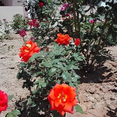 Yannis Apartmán